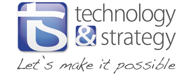 Technology and Strategy Logo